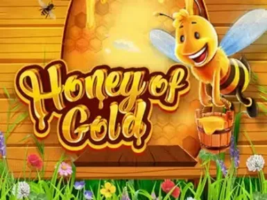 Jeetcity Casino screenshot